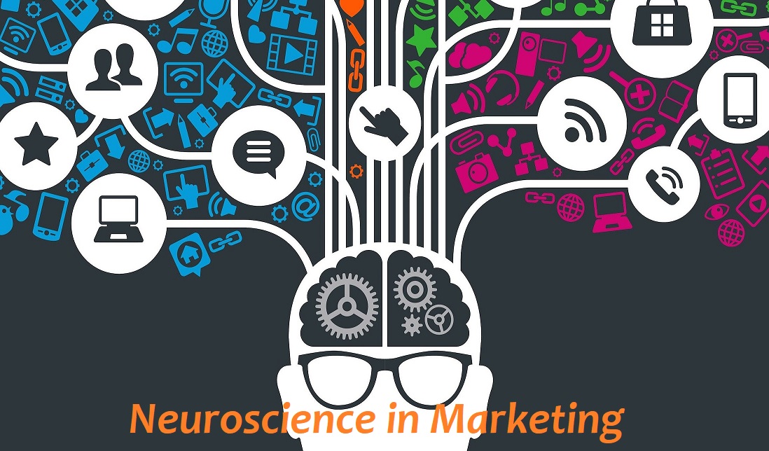 The Neuroscience of Marketing: Unlocking the Secrets behind Supermarket Spending